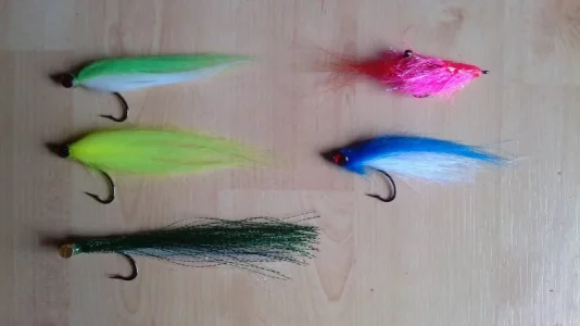 IMG_20180413_151923.webp IMG_20180413_151923.webp