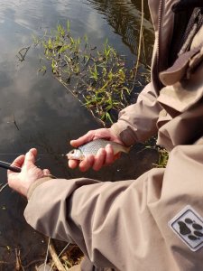 IMG-20180414-WA0002.jpg IMG-20180414-WA0002.jpg