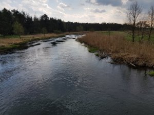 20180414_150935.jpg 20180414_150935.jpg