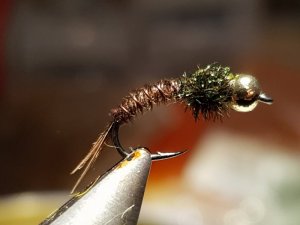 20180414_212215.jpg 20180414_212215.jpg