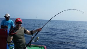 20180401_145250.jpg 20180401_145250.jpg