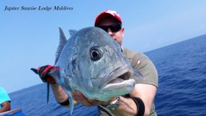 20180401_145813.jpg 20180401_145813.jpg