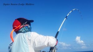 20180403_083601.jpg 20180403_083601.jpg