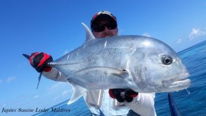 20180403_144112.jpg 20180403_144112.jpg