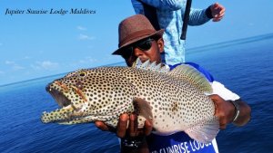 20180404_075659.jpg 20180404_075659.jpg