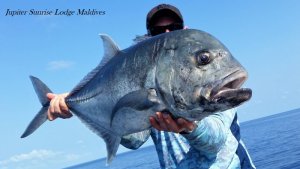 20180404_082146.jpg 20180404_082146.jpg