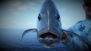 20180404_101618.jpg 20180404_101618.jpg