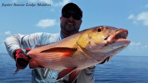 20180404_120541.jpg 20180404_120541.jpg