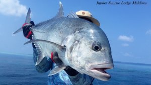 20180404_142623.jpg 20180404_142623.jpg