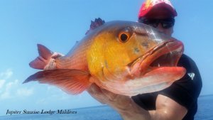 20180405_104840.jpg 20180405_104840.jpg