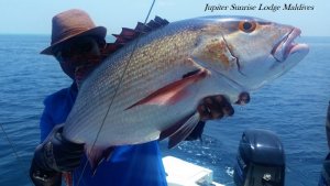 20180405_105849.jpg 20180405_105849.jpg