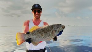 IMG-20180329-WA0007.jpg IMG-20180329-WA0007.jpg