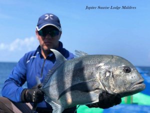 received_10160191842980501.jpeg received_10160191842980501.jpeg