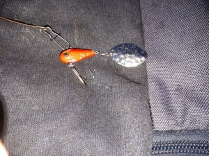 IMG-20180417-WA0000.jpg IMG-20180417-WA0000.jpg