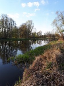 IMG-20180417-WA0002.jpg IMG-20180417-WA0002.jpg