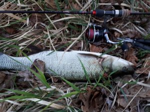 IMG-20180417-WA0001.jpg IMG-20180417-WA0001.jpg