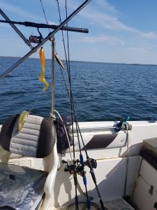 20180417_154150.jpg 20180417_154150.jpg