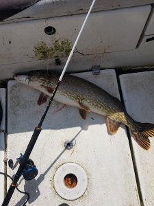 20180417_135727.jpg 20180417_135727.jpg