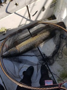 20180417_085239.jpg 20180417_085239.jpg