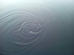 1524333335126.jpg