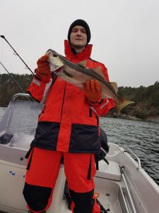 IMG-20180326-WA0029.jpg IMG-20180326-WA0029.jpg