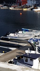 IMG-20180326-WA0028.jpg IMG-20180326-WA0028.jpg