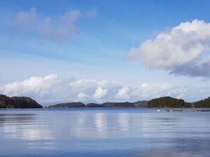 IMG-20180326-WA0022.jpg IMG-20180326-WA0022.jpg