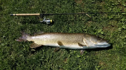 17_04_112cm (1).webp