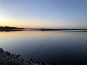 E6A340DD-2DAC-48C1-9311-15EE0724DE54.jpeg E6A340DD-2DAC-48C1-9311-15EE0724DE54.jpeg