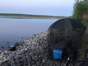 226AC2EE-3120-45E6-B96E-D2A166D2653F.jpeg 226AC2EE-3120-45E6-B96E-D2A166D2653F.jpeg