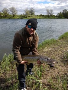 IMG_20180501_105605.jpg IMG_20180501_105605.jpg