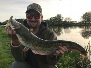 2018-05-01 22.18.48.jpg 2018-05-01 22.18.48.jpg