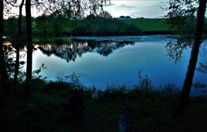 DSCN2600.JPG DSCN2600.JPG