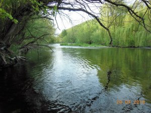 DSCN2597-2.jpg DSCN2597-2.jpg