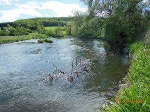 DSCN2606-2.jpg DSCN2606-2.jpg