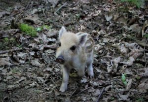 IMG_4840-2.jpg IMG_4840-2.jpg