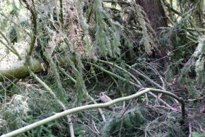 IMG_4770-2.jpg IMG_4770-2.jpg