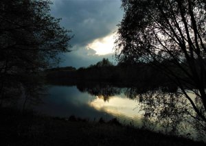 DSCN2590-2.jpg