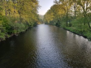 20180505_064523.jpg
