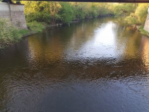 20180505_064546.jpg