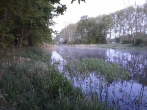 IMG-20180505-WA0000.jpg