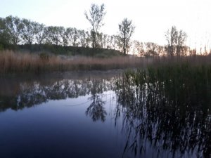 IMG-20180505-WA0001.jpg