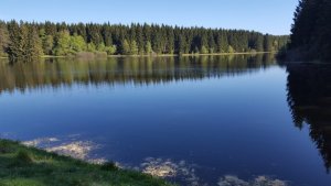 20180429_095114_002.jpg