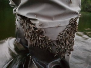 20180505_211101.jpg