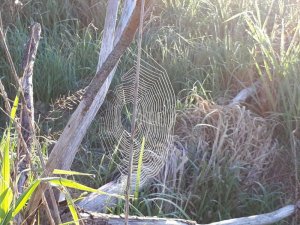 IMG-20180506-WA0006.jpg