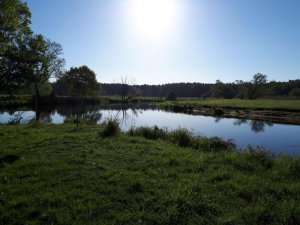 IMG-20180506-WA0003.jpg