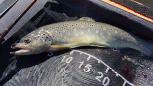 20180506_150611.jpg 20180506_150611.jpg