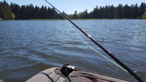 20180506_153001.jpg 20180506_153001.jpg