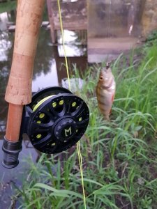 20180508_205643.jpg 20180508_205643.jpg