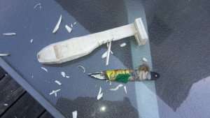 IMG-20180507-WA0013.jpeg IMG-20180507-WA0013.jpeg